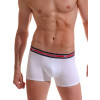 Трусы боксеры Jolidon N202MM white, Цвет: white (белый), Размеры: L