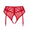 Сексуальные трусики с подвязками Obsessive DAGMARIE GARTER PANTIES, Цвет: красный, Размеры: XS/S, изображение 4