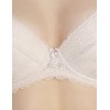 Кружевной бюстгальтер пуш-ап Senselle GLAMOUR LACE 12016 серебристый пион, Цвет: серебристый пион, Размеры: 70D, изображение 7