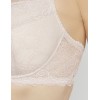 Кружевной бюстгальтер пуш-ап Senselle GLAMOUR LACE 12016 серебристый пион, Цвет: серебристый пион, Размеры: 70D, изображение 8