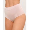Трусы макси Janira ACTIVE DAY 1032260 BRAGA dune, Цвет: dune (песочный), Размеры: L