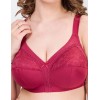 Бюстгальтер мягкий без косточек Aveline 660430 / 661430 / 661431 марс, Цвет: марс, Размеры: 80C
