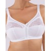 Бюстгальтер мягкий без косточек Aveline 660430 / 661430 / 661431 белый, Цвет: белый, Размеры: 110G