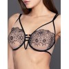 Бюстгальтер пуш-ап Gracija-Rim JADIS 10491, Цвет: черный/кофе с молоком, Размеры: 65C, изображение 3