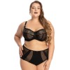 Трусы слипы Bella Misteria SUBTLE TEMPTATION briefs FP3 BLACK, Цвет: черный, Размеры: 2XL, изображение 3