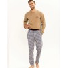 Пижама мужская со штанами Taro 3298 ROB, Цвет: бежевый/серый, Размеры: 2XL, изображение 2