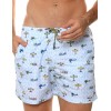 Мужские пляжные шорты Jolidon B645JI BI6 голубой/самолеты, Цвет: голубой/самолеты, Размеры: L