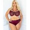 Трусы слипы Kris Line MERLOT briefs, Цвет: бордо, Размеры: 2XL, изображение 3
