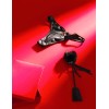 Трусики с золотистой молнией Esotiq WISH 44129 черный, Цвет: черный, Размеры: S/M, изображение 5