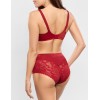 Высокие трусы слипы Empreinte 05224 LEIA рубин, Цвет: рубин, Размеры: S, изображение 2