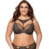 Бюстгальтер полумягкий со съемным кружевным декором Ava LOOK AT ME 1906 PU, Цвет: черный, Размеры: 65E