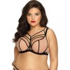 Полумягкий бюстгальтер Novika GILLIAN N02 PU с черным, Цвет: бежевый с черным, Размеры: 95H, изображение 3
