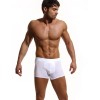 Трусы боксеры Jolidon N204MM white, Цвет: white (белый), Размеры: L, изображение 2
