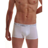 Трусы боксеры мужские Jolidon N80MM white, Цвет: white (белый), Размеры: S