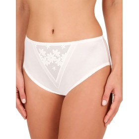 Трусы слипы из микрофибры Felina 1355 SWISS BRODERIE натуральный, Цвет: натуральный, Размеры: XL