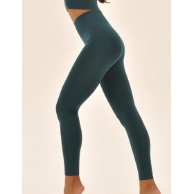 Гладкие леггинсы MY PA799 emerald, Цвет: изумруд, Размеры: L
