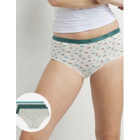 Набор хлопковых трусов брифов Dim LES POCKETS COTON 4C20 лето - 3 штуки, Цвет: лето, Размеры: L/XL