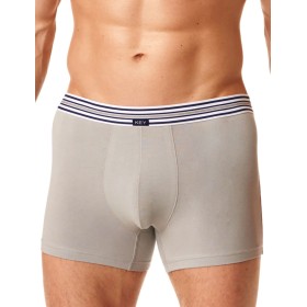 Мужские боксеры Key MXH 273 B22 светло-серый, Цвет: светло-серый, Размеры: XL