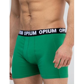 Мужские трусы боксеры Opium R-152 зеленый, Цвет: зеленый, Размеры: L