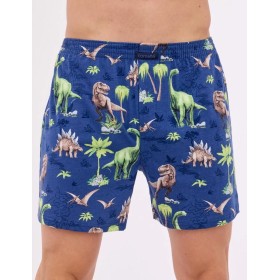 Свободные трусы шорты Cornette 001/011-14 CLASSIC джинс/зеленый, Цвет: джинс/зеленый, Размеры: M