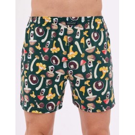 Свободные трусы шорты Cornette 001/011-14 CLASSIC темно-зеленый/коричневый, Цвет: темно-зеленый/коричн, Размеры: L