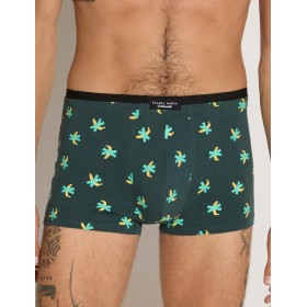 Мужской набор боксеры + носки Ysabel Mora 20384 SET, Цвет: темно-зеленый, Размеры: M