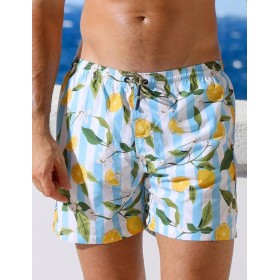 Мужские пляжные шорты Jolidon B645JI BI4 полоска/лимон, Цвет: полоска/лимон, Размеры: XL
