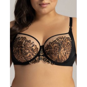 Бюстгальтер мягкий Ava LIANA 2144 M black, Цвет: черный, Размеры: 75E