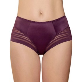 Трусы слипы высокие Albina L SILUET 480 слива, Цвет: слива, Размеры: 3XL
