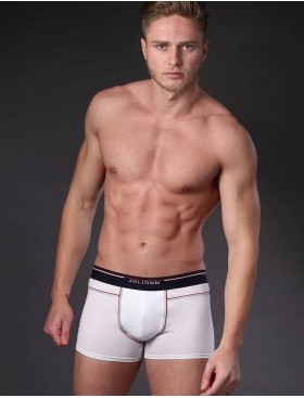 Мужские боксеры Jolidon N249MM white, Цвет: white (белый), Размеры: L, изображение 2