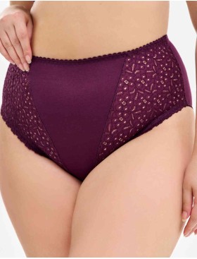 Высокие трусы слипы Lauma COTTON CLASSIC L01810 сливовое вино, Цвет: сливовое вино, Размеры: 2XL, изображение 3