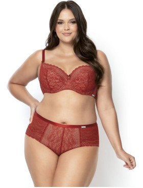 Высокие трусы слипы Nipplex CLARISA FIGI, Цвет: терракотовый, Размеры: L, изображение 2