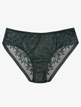 Трусики слипы Esotiq TOSHI 40005 изумруд, Цвет: изумруд, Размеры: S, изображение 3