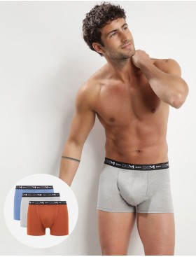 Набор мужских боксеров (3 шт) Dim 6596/3 серый/коричневый/синий, Цвет: серый/коричневый/синий, Размеры: XL