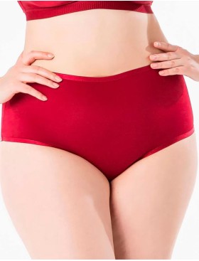 Трусы слипы Sermija 169-16-K / 170-16-AK красная румба, Цвет: красная румба, Размеры: 9XL