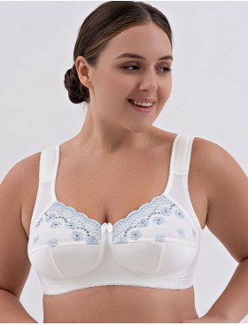 Бюстгальтер больших размеров Valmira 1107 / 1108 молоко с голубым, Цвет: молоко с голубым, Размеры: 100G, изображение 3