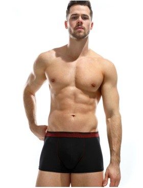 Трусы боксеры Jolidon N308MM black, Цвет: black (черный), Размеры: M, изображение 2