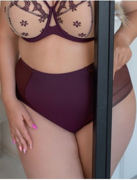 Трусы высокие Kris Line FORTUNA PRALINE briefs high waist light, Цвет: пралине, Размеры: L