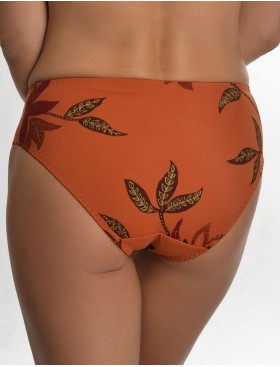 Трусы слипы Valmira 2934/M коньяк, Цвет: коньяк, Размеры: M, изображение 2