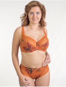 Бюстгальтер полумягкий Valmira 1109-1109/B коньяк, Цвет: коньяк, Размеры: 90C, изображение 2