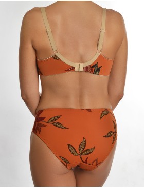 Трусы слипы Valmira 2934/M коньяк, Цвет: коньяк, Размеры: M, изображение 6