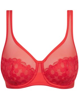 Бюстгальтер с мягкой чашкой Dim GENEROUS BRODERIE 0ASD яблоко любви, Цвет: яблоко любви, Размеры: 75B, изображение 6