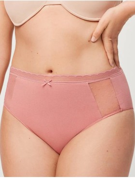 Трусы слипы высокие Ysabel Mora 19536 INTIMATES пыльная роза, Цвет: пыльная роза, Размеры: L