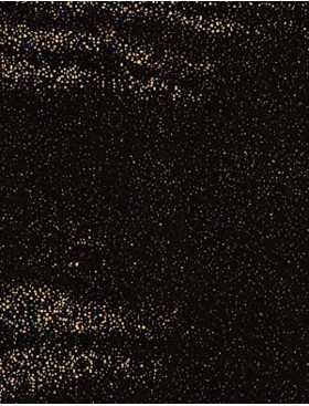 Закрытый купальник Sielei SP51 bronzo, Цвет: bronzo (черно-золото, Размеры: 75B, изображение 3