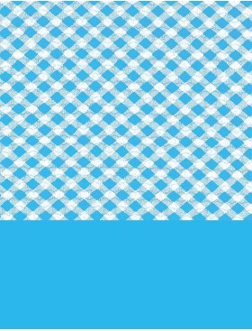 Двусторонний раздельный купальник Sielei VY51+VY63 turchese, Цвет: turchese (бирюзовый), Размеры: 85B, изображение 5