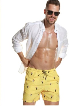Мужские пляжные шорты Jolidon B645JI YI1 пеликан/желтый, Цвет: пеликан/желтый, Размеры: XL, изображение 3