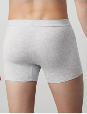 Мужские боксеры Ysabel Mora 20157 светло-серый, Цвет: светло-серый, Размеры: L, изображение 2