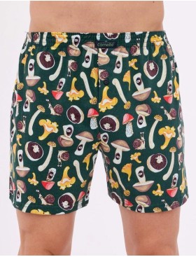 Свободные трусы шорты Cornette 001/011-14 CLASSIC темно-зеленый/коричневый, Цвет: темно-зеленый/коричн, Размеры: M