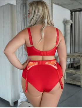 Трусы высокие Kris Line SWEETHEART briefs high waist, Цвет: красный+оранжевый, Размеры: M, изображение 6