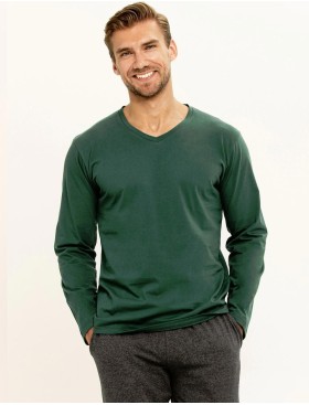 Мужская пижама Taro DAN 3300-3301-01, Цвет: зеленый, Размеры: L